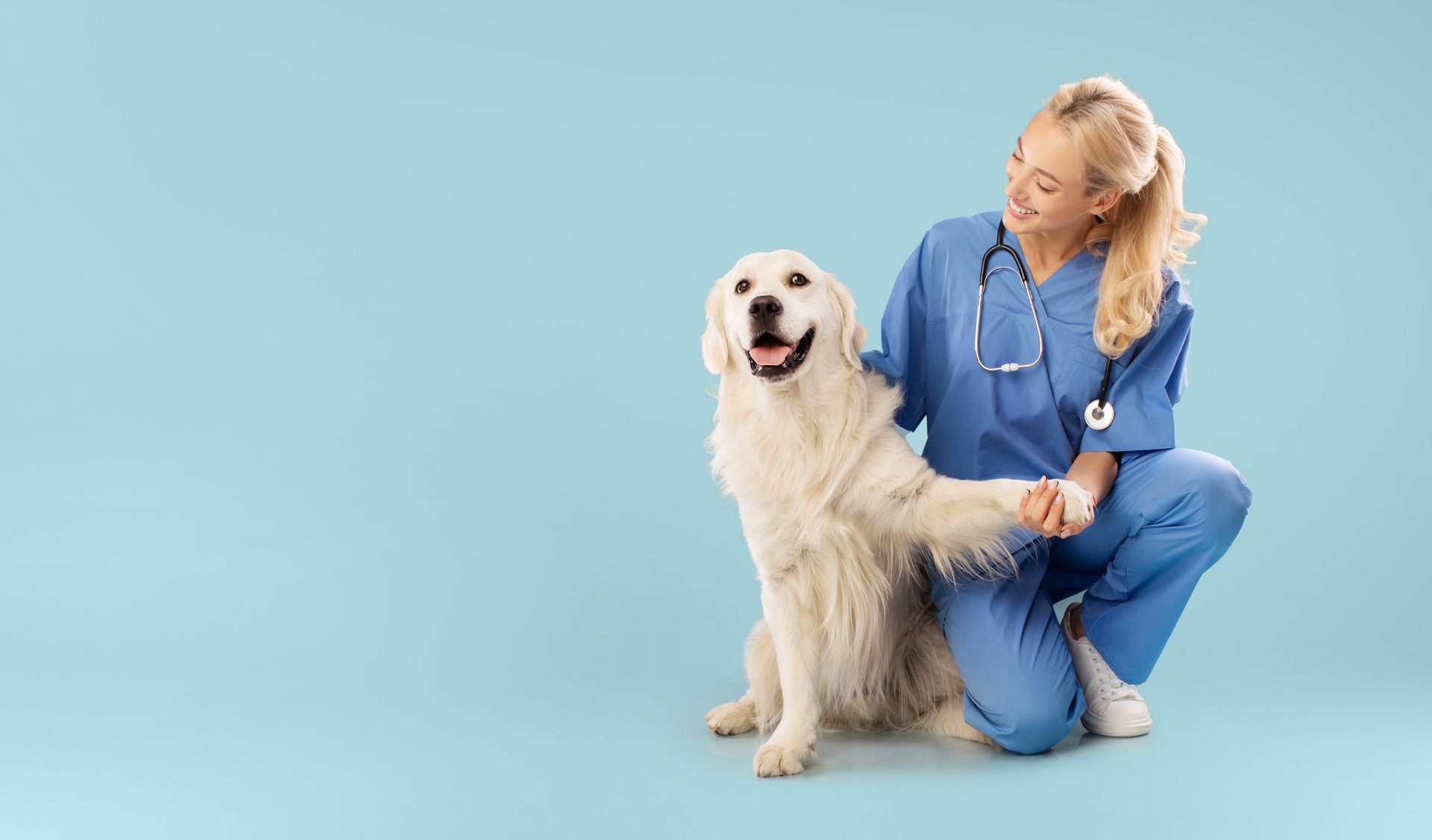Happy veterinarian posing with golden retriever, holding pet's paw.