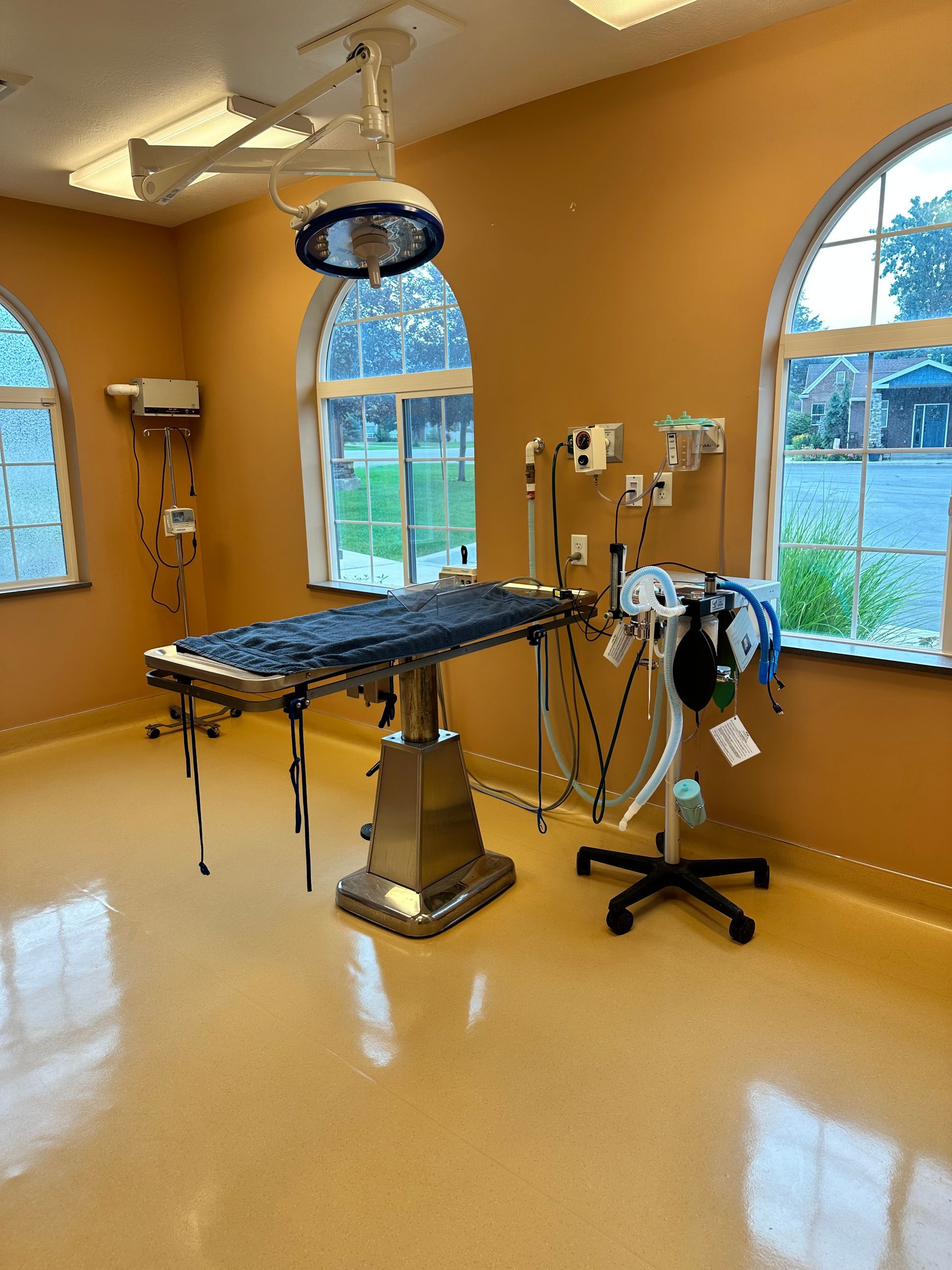 Veterinary Clinic Examination Room Interior.
