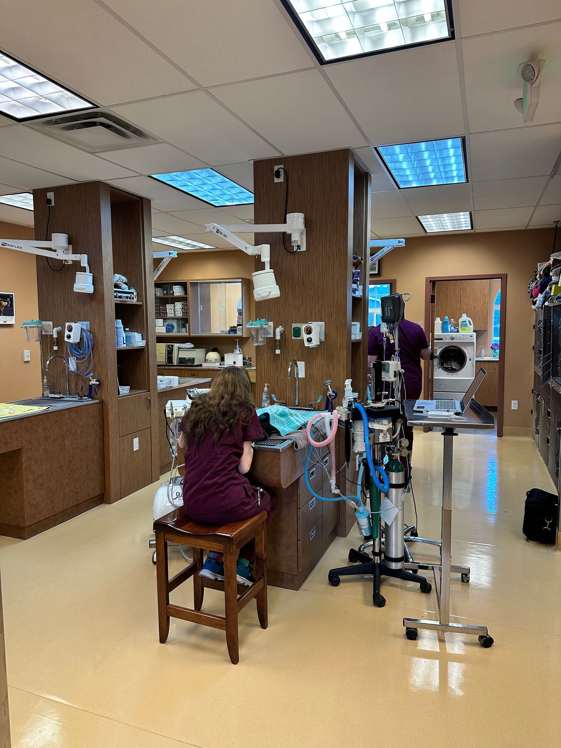 Staff Working Indoors.