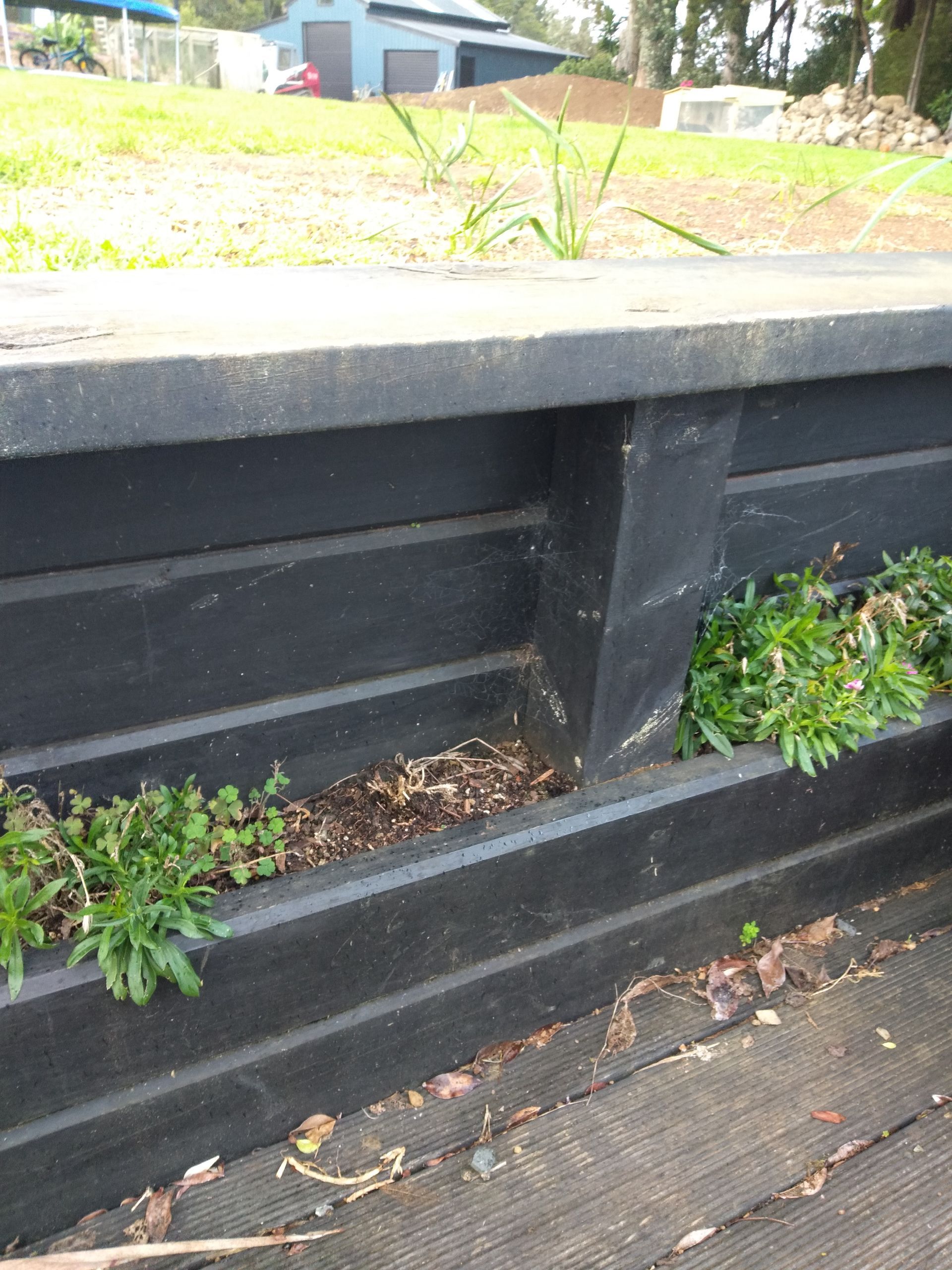A black planter with plants growing out of it.