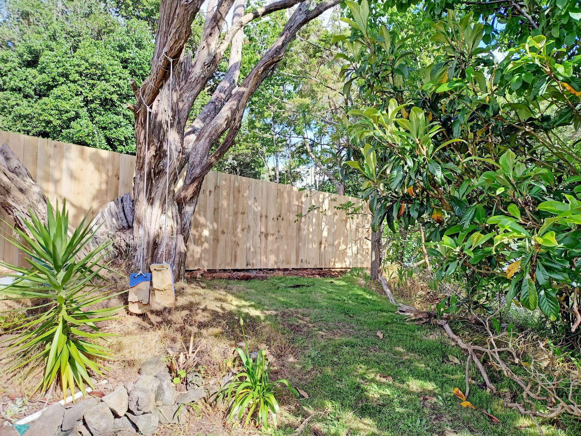 A wooden fence is surrounded by trees and bushes in a backyard.