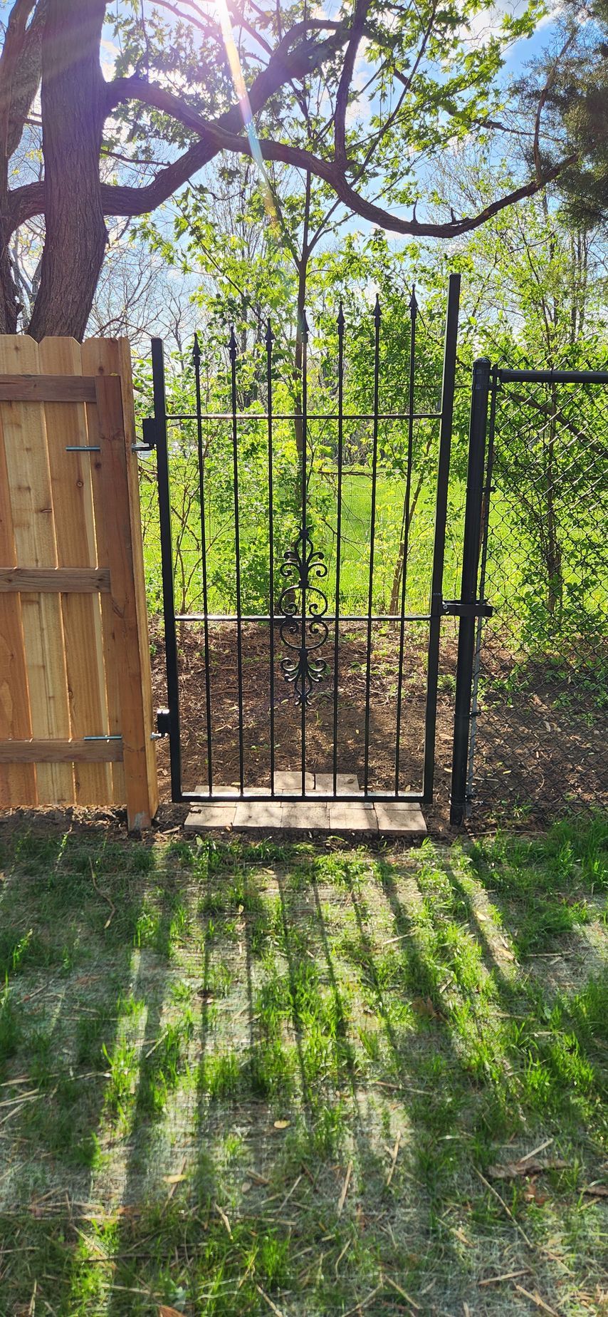 A wrought iron gate is leading to a vineyard behind a wooden fence.