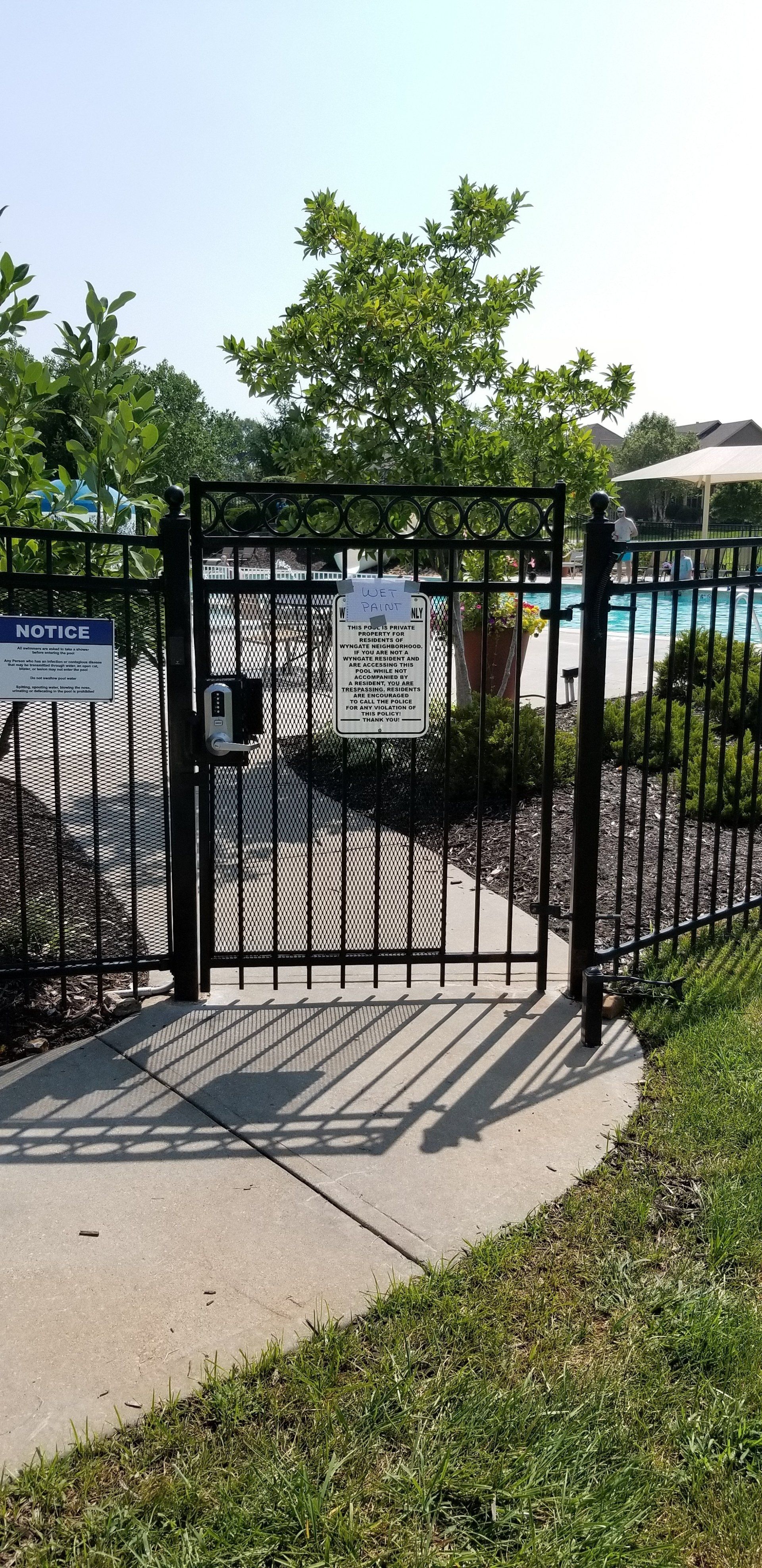 A wrought iron gate leading to a swimming pool.