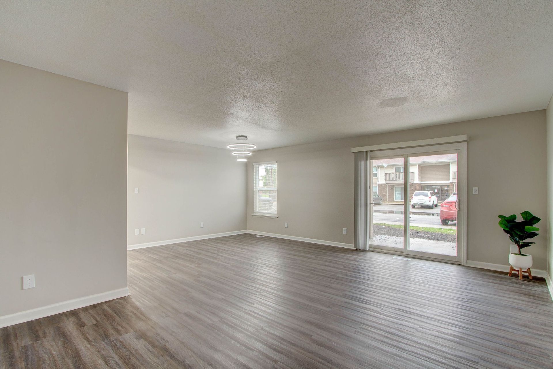Empty living room with gray walls, dark wood-look floors, sliding glass door, and small plant.