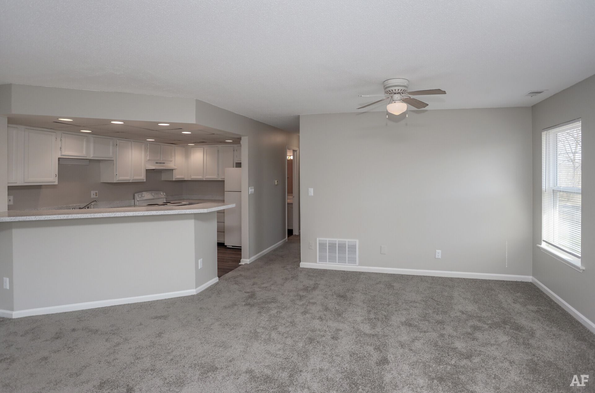A modern apartment living room with gray walls, carpet, and an open kitchen.