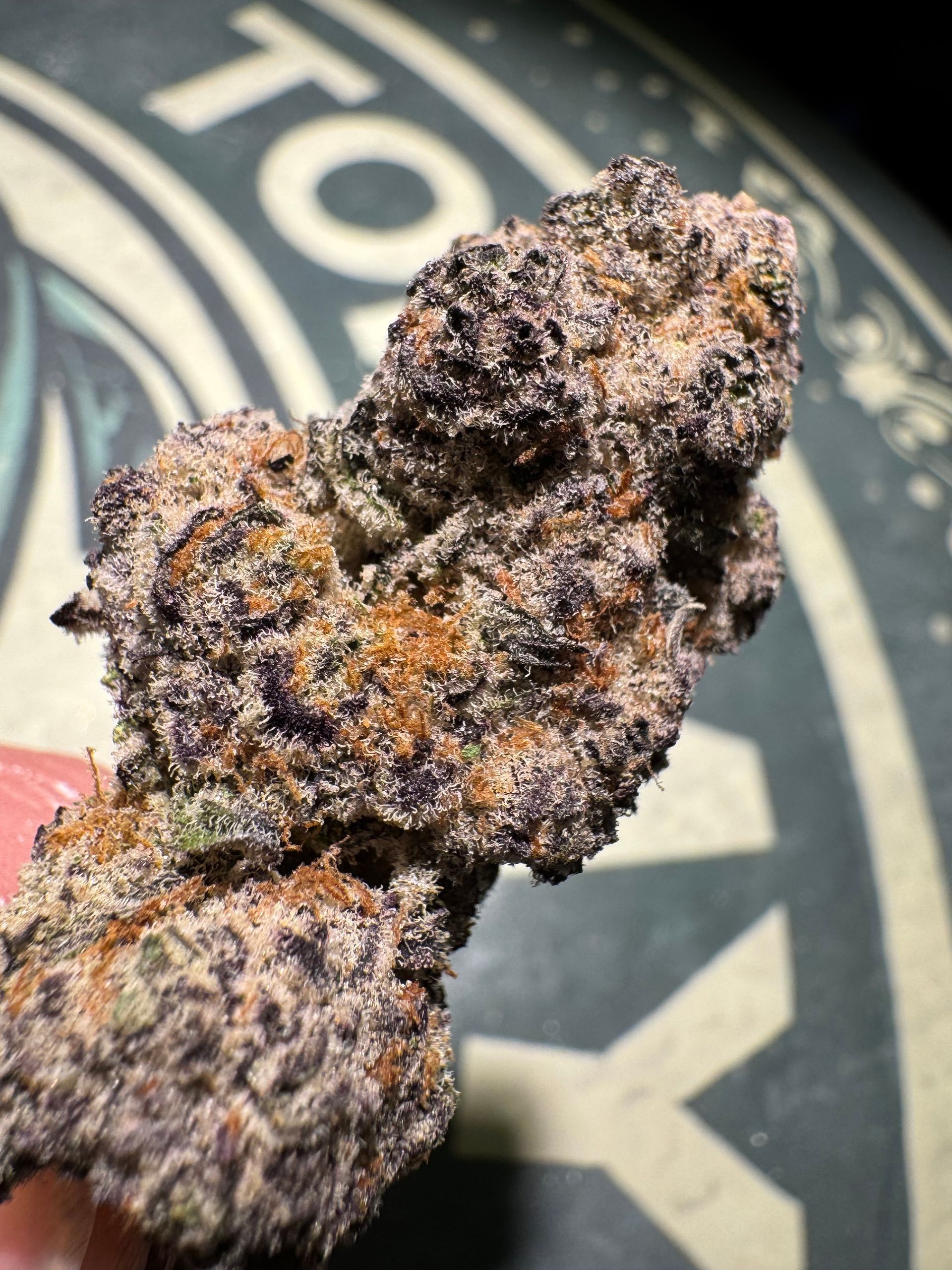 Close-up of three purple-orange cannabis buds on a black and gold background