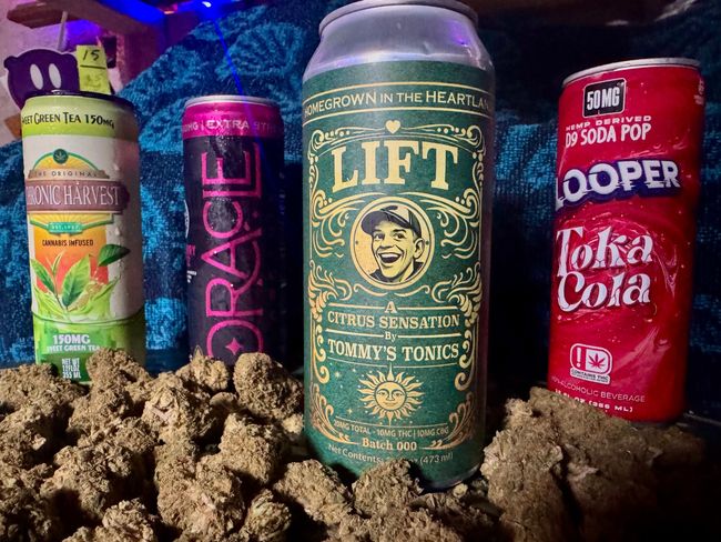 Assorted soda cans and bottles lined up in brown dirt, with colorful labels against a purple-blue background