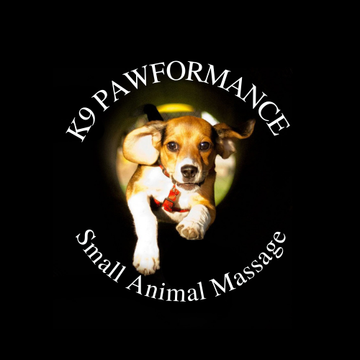 A beagle dog running through a tunnel, with text 