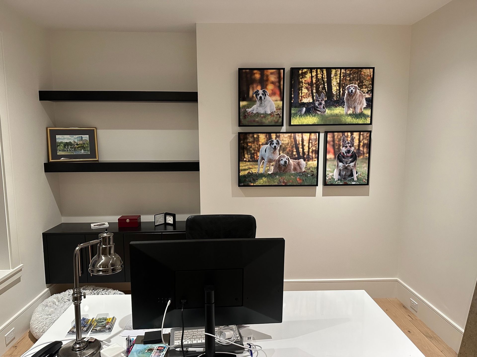 Office with desk, shelves, and four dog portraits on wall.
