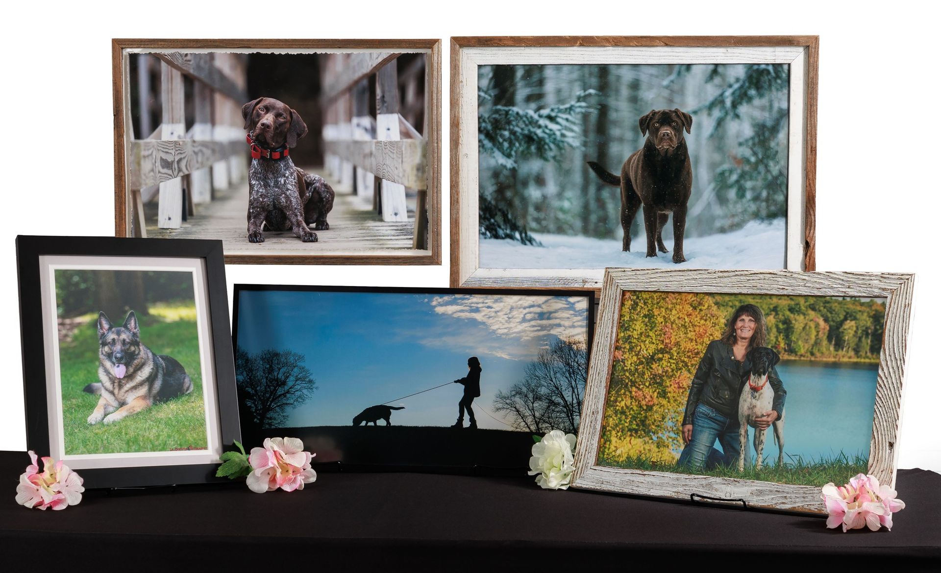 Five framed photos of dogs and people on a black table with flowers.