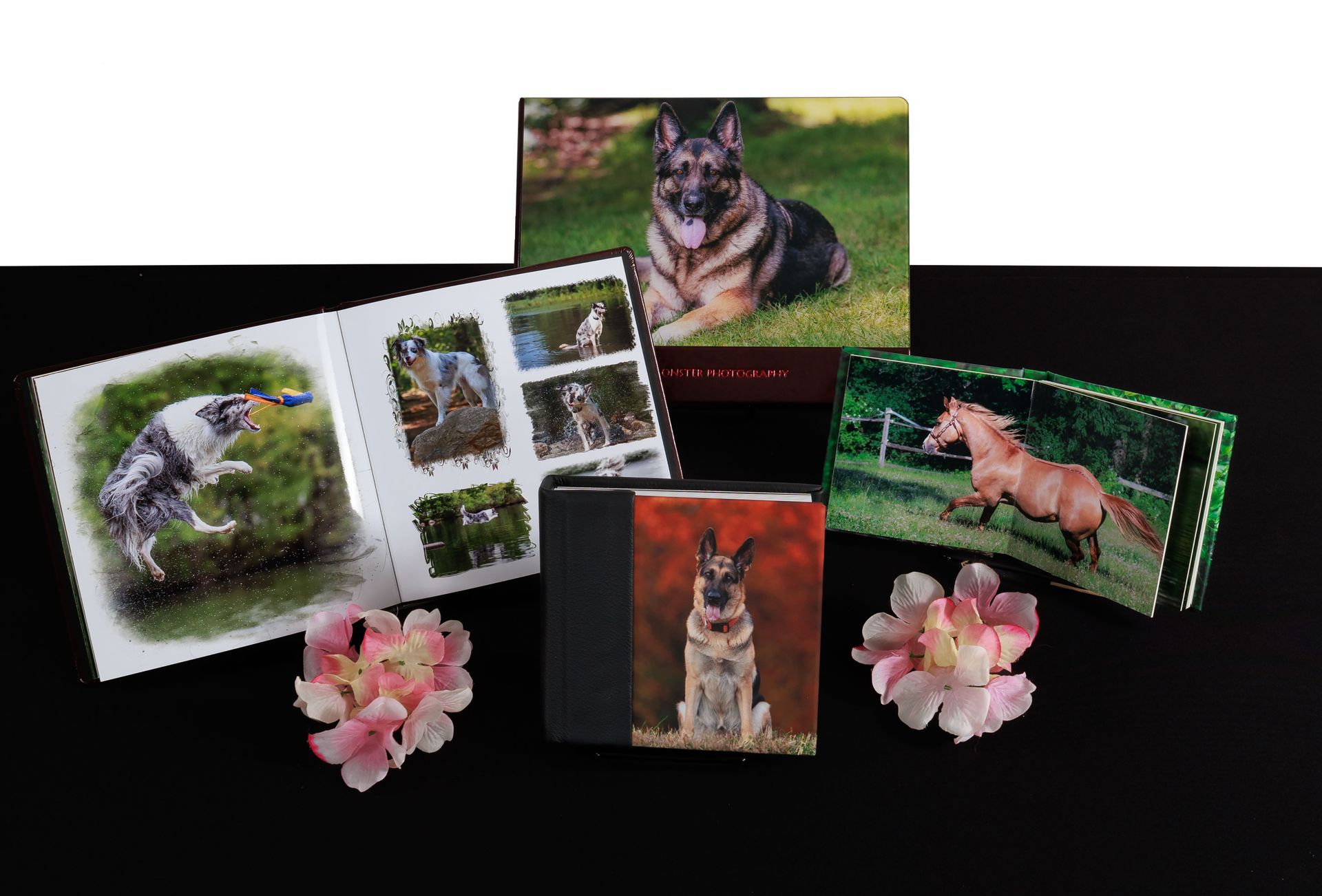 Framed dog portraits on a black table. Different breeds in various settings: bridge, snowy woods, grass, park, and by a lake.