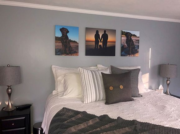 Thin wrap gallery, photo gallery, custom artwork, wall art, dog portraits, action photography