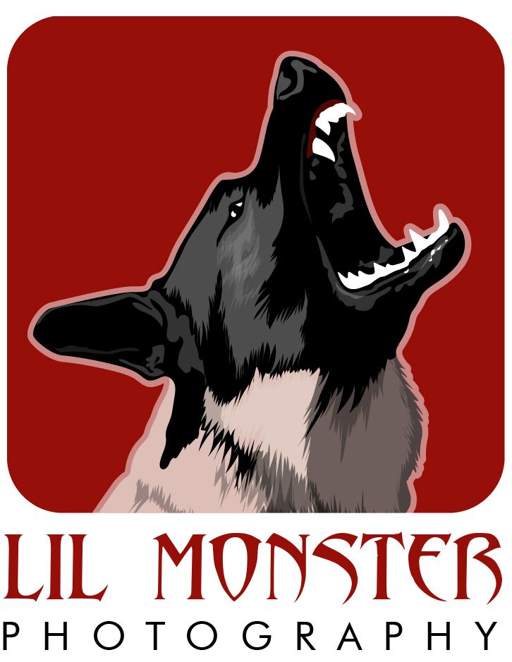 Lil Monster Photography