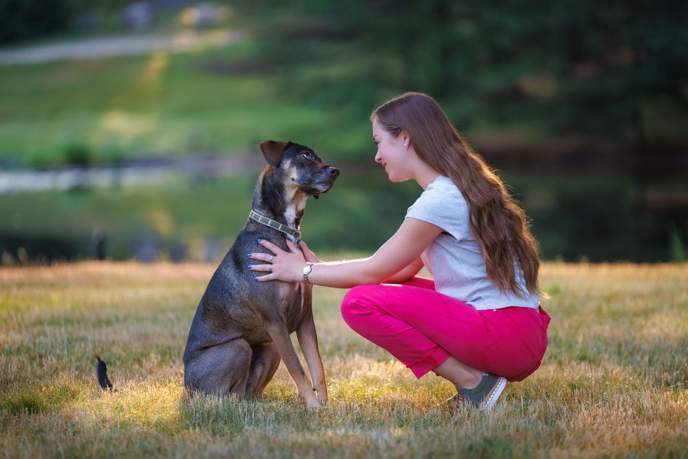 Girl kneeling, petting a dog in a grassy field.