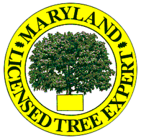 Maryland Licensed Tree Expert logo: Yellow circle with green tree, text around the perimeter. Maryland Licensed Tree Expert logo: Yellow circle with green tree, text around the perimeter.