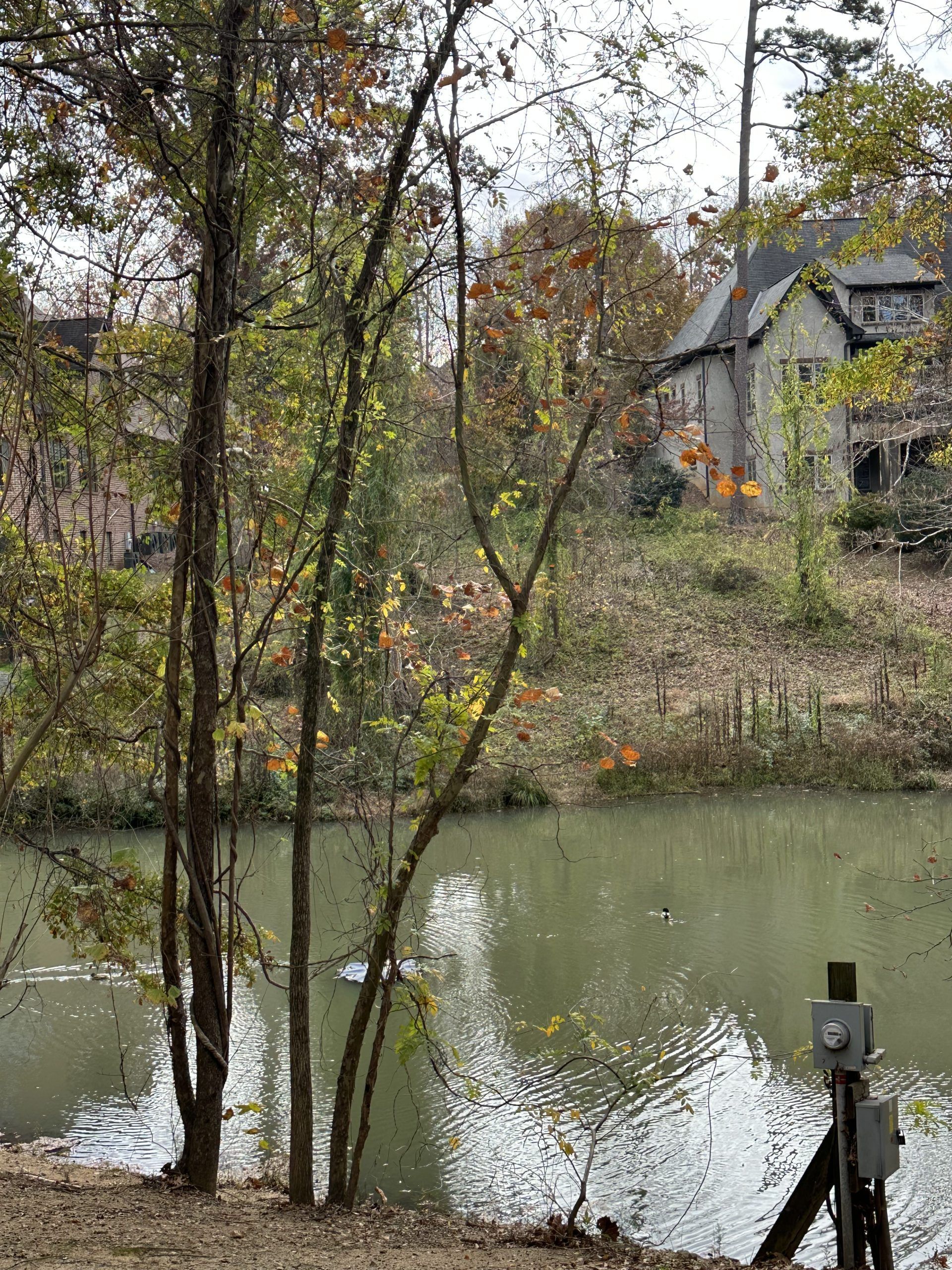 A house is sitting on a hill next to a lake surrounded by trees.