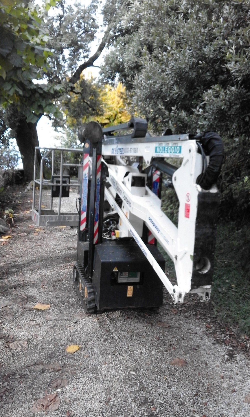 piattaforma aerea per potatura