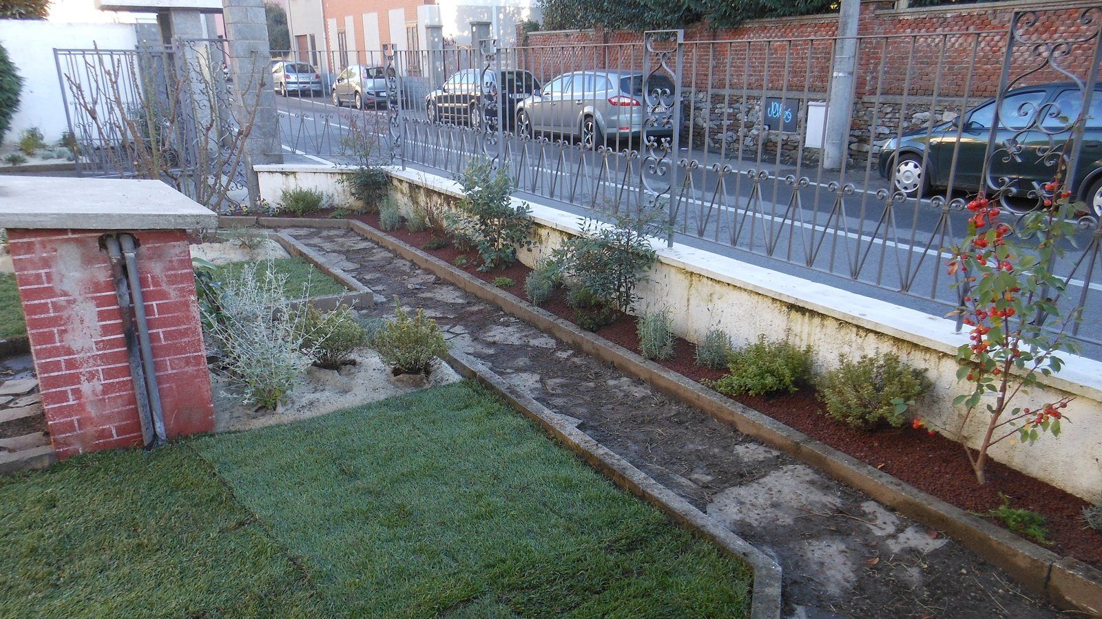 manto erboso per piccoli giardini