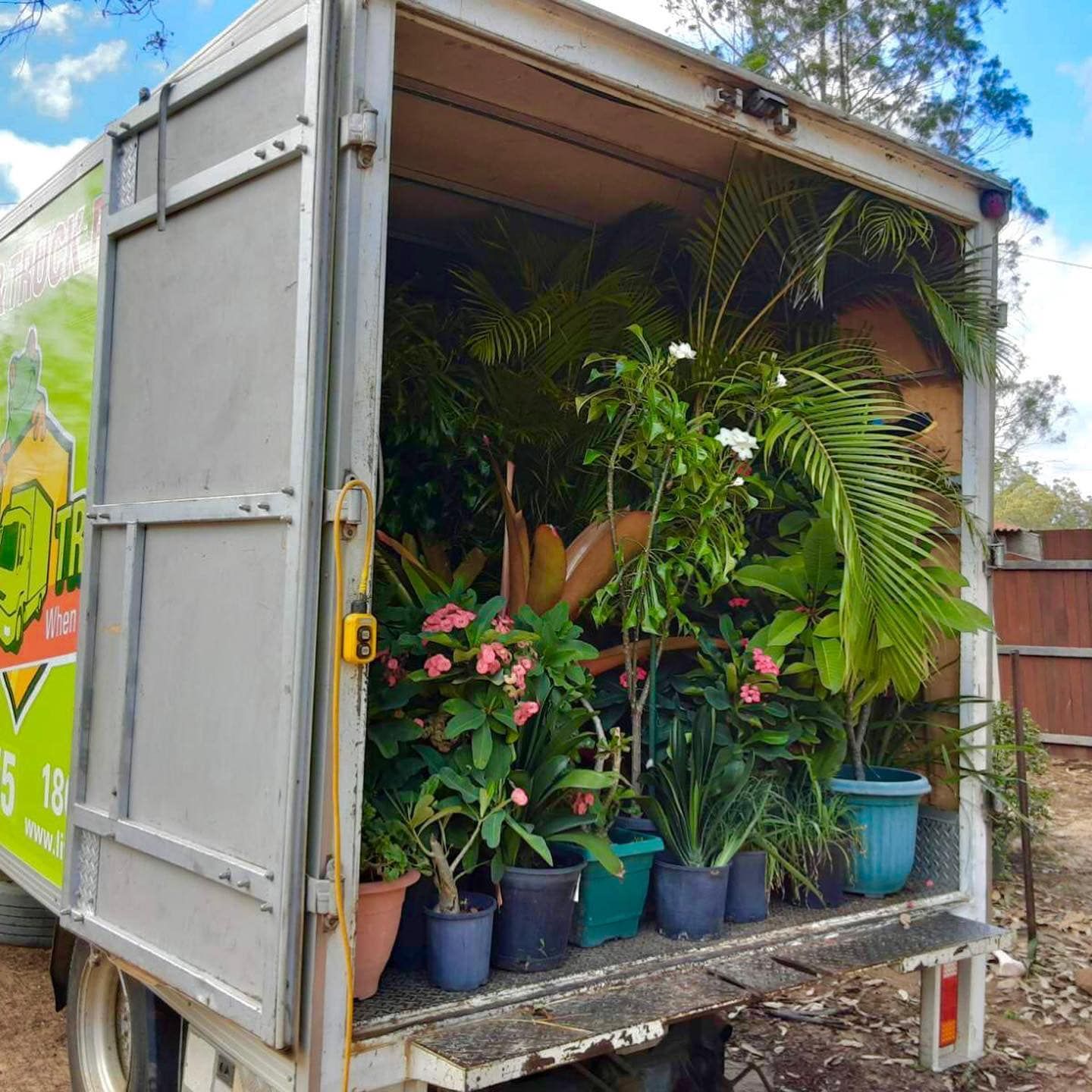 Truck Bed Filled With Potted Plants of Varying Sizes and Colors — Little Green Truck Bundaberg In Tiaro, QLD