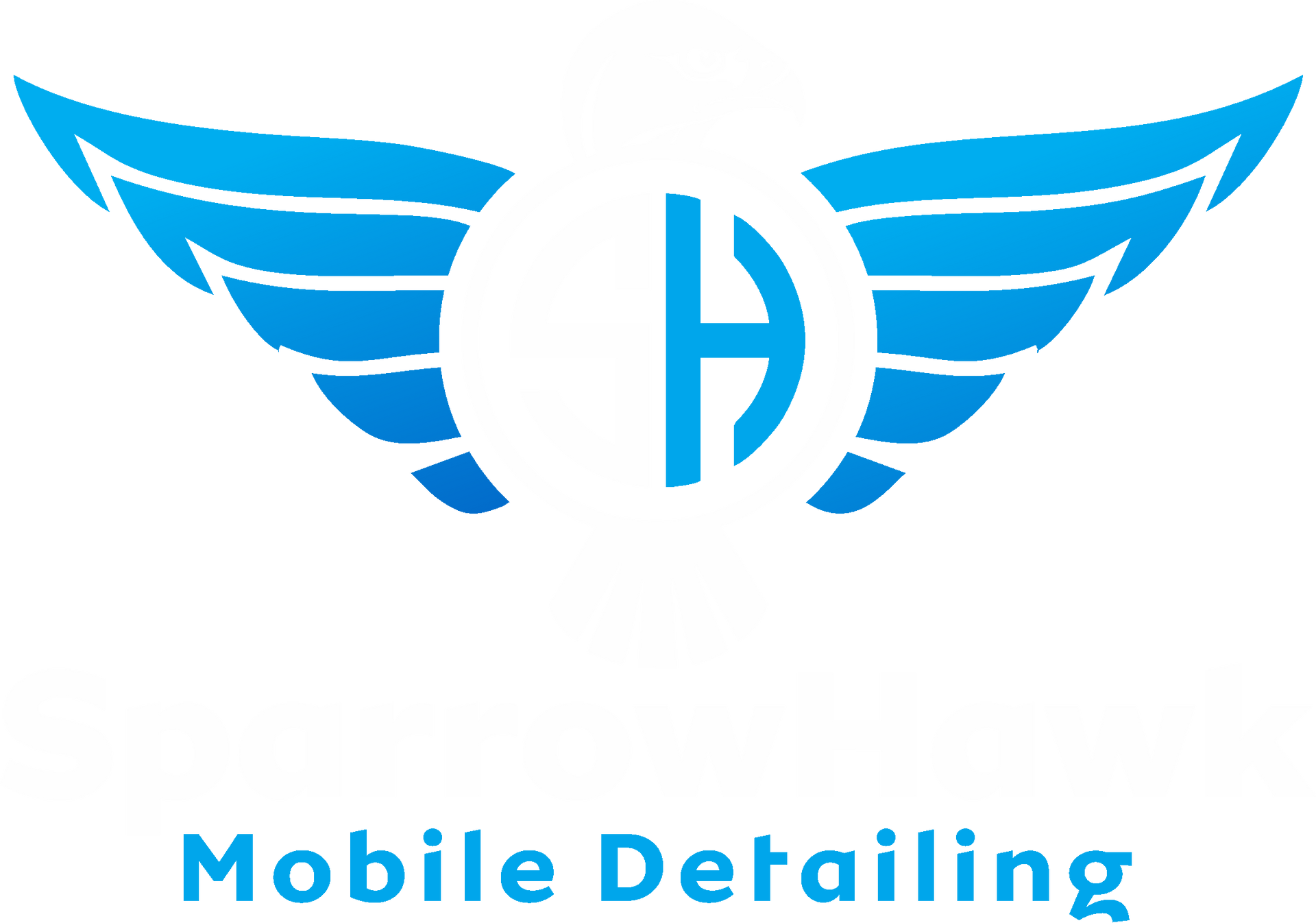 SparrowHawk Mobile Detailing SparrowHawk Mobile Detailing