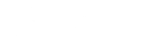 CEG Logo