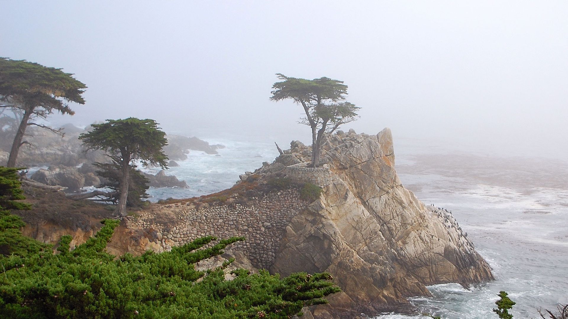costa degli Stati Uniti