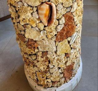 colonna di conchiglie