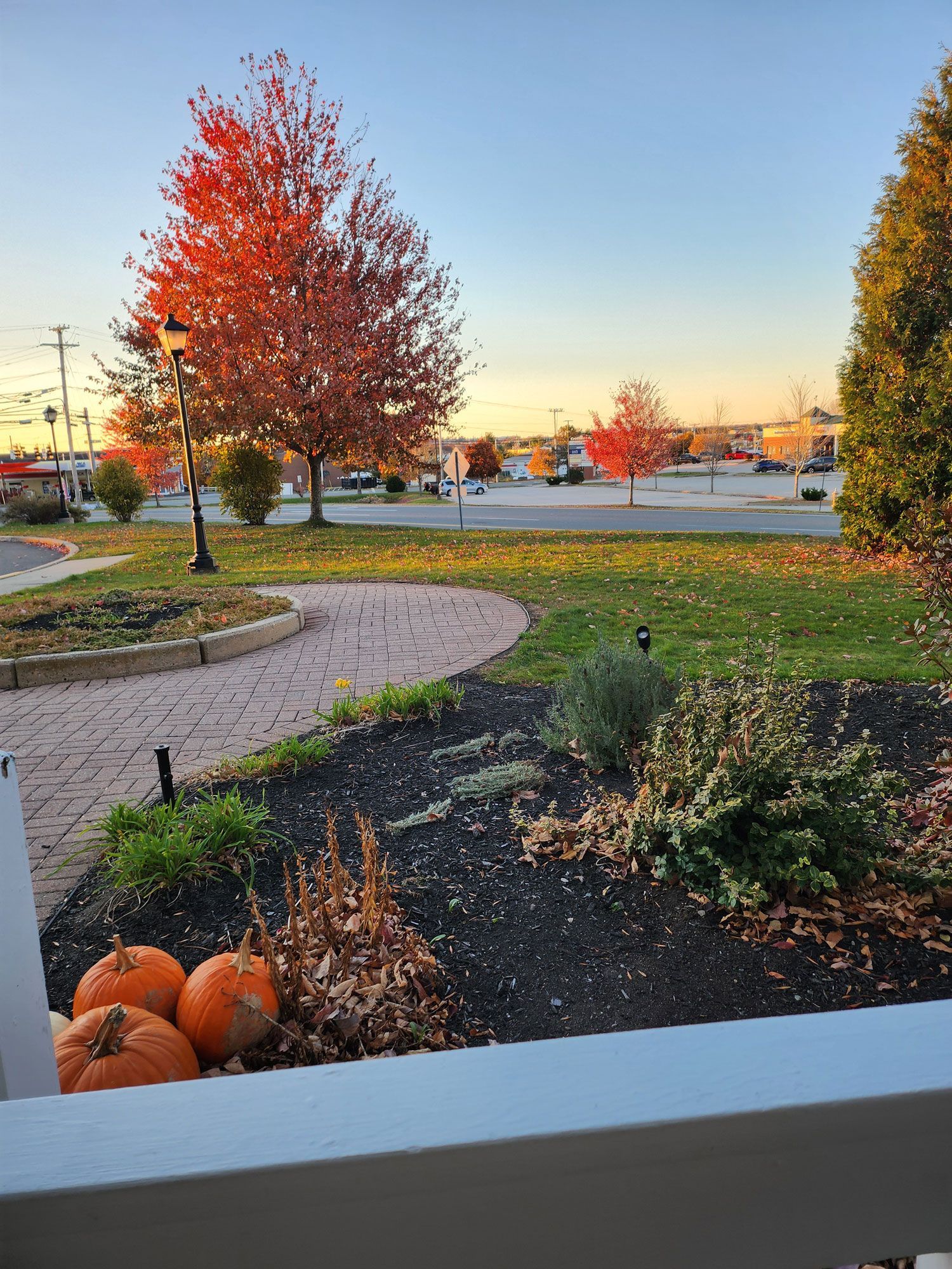 zucche è adagiato a terra in un giardino per Halloween