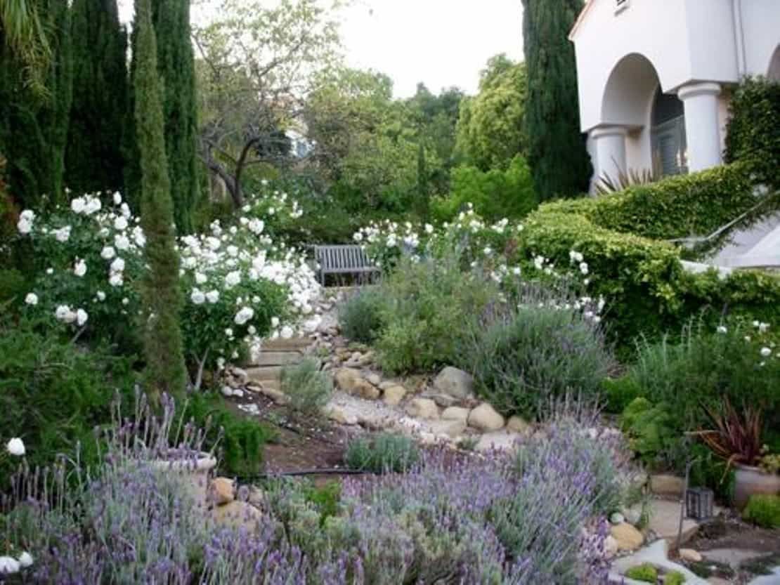 Stone steps lead through a lush garden with white roses, lavender, and a bench, next to a white building.