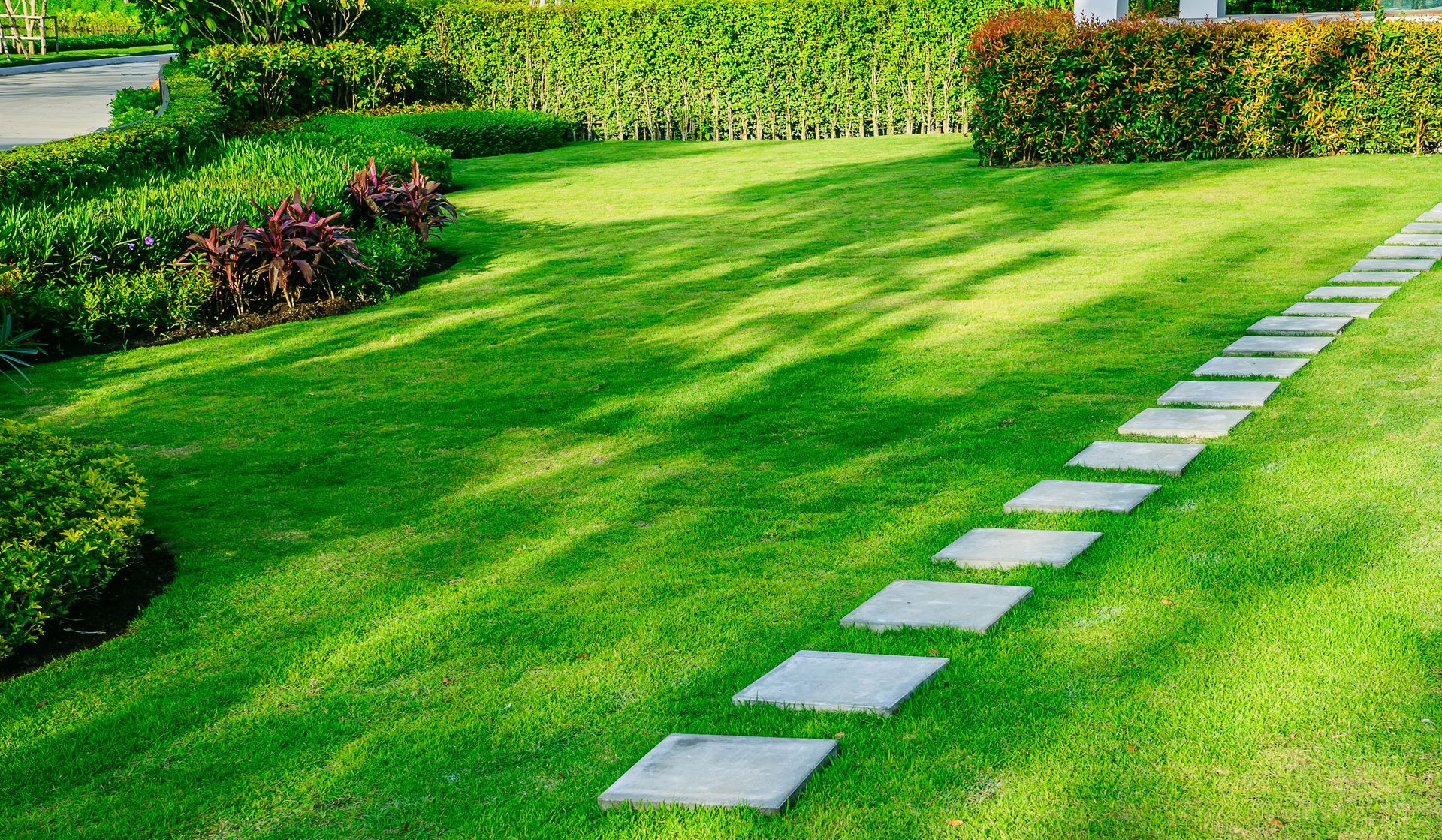 Green lawn with stone path, trimmed bushes, and shadows from sunlight.