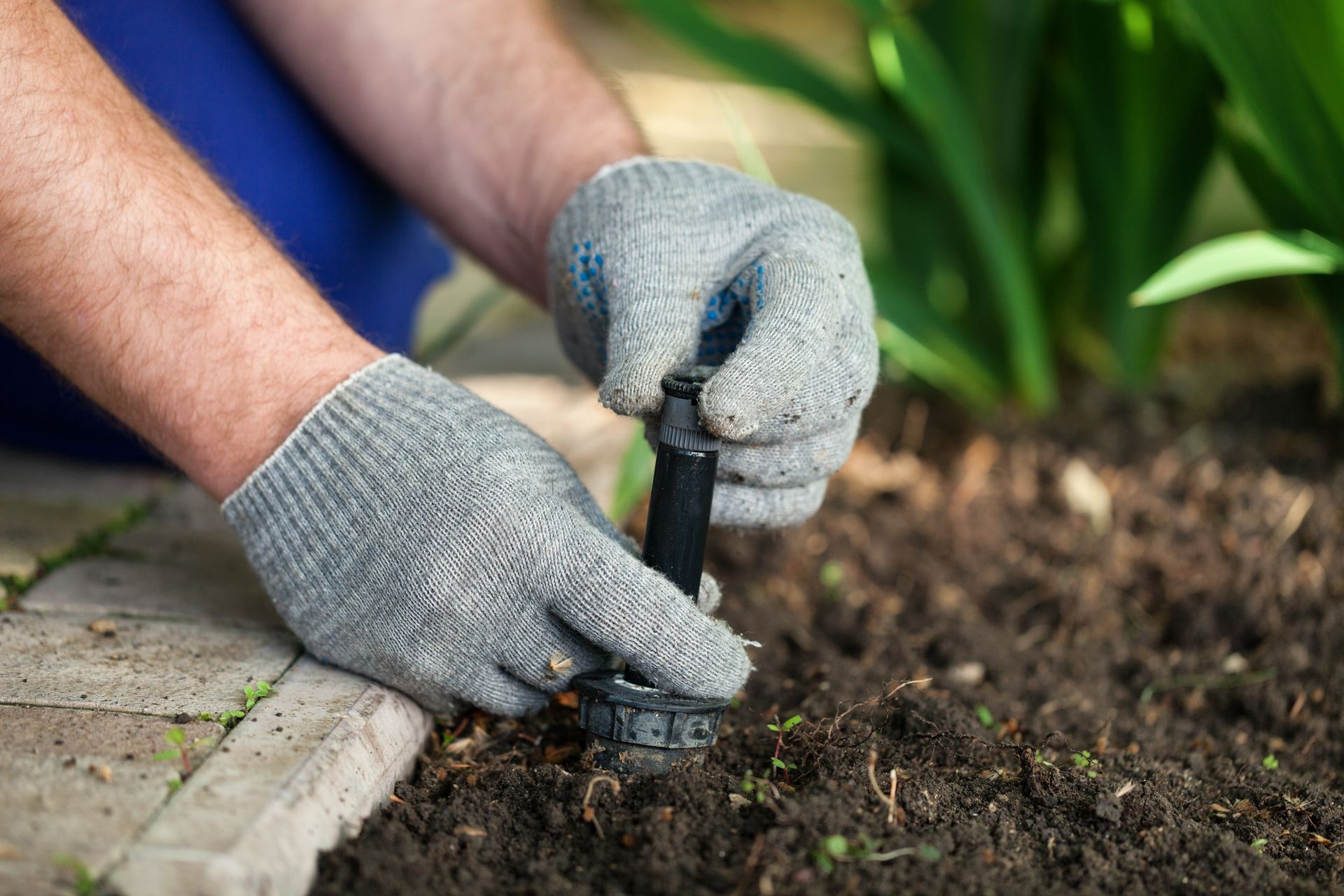 Person wearing gloves adjusts a sprinkler head in soil near a walkway and plants. Person wearing gloves adjusts a sprinkler head in soil near a walkway and plants.