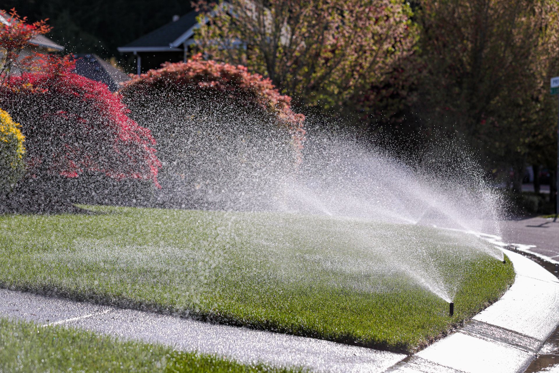 Sprinklers watering green lawn with water droplets in the air, near colorful bushes on a sunny day.