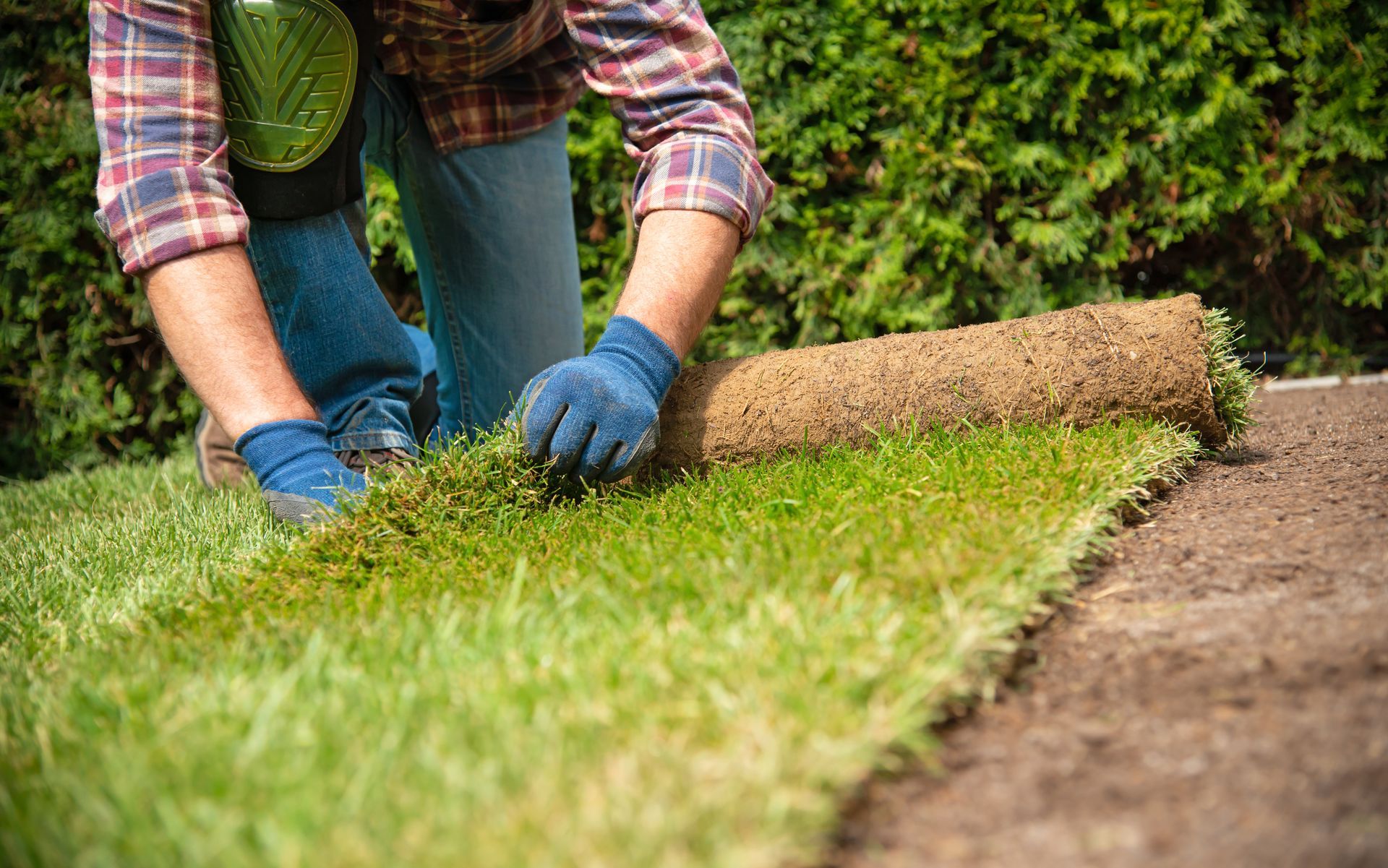Person in blue gloves rolls out a section of fresh sod onto a prepared lawn.
