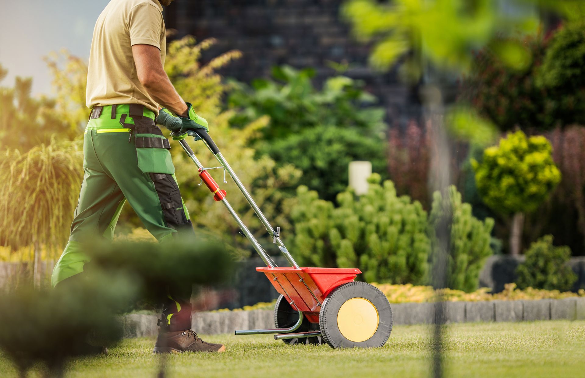 A person using a spreader to apply fertilizer on a green lawn in a garden.