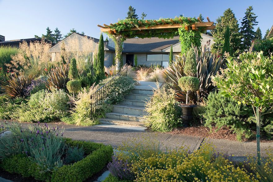 Stone steps leading to a building with a vine-covered trellis, surrounded by lush, diverse landscaping.
