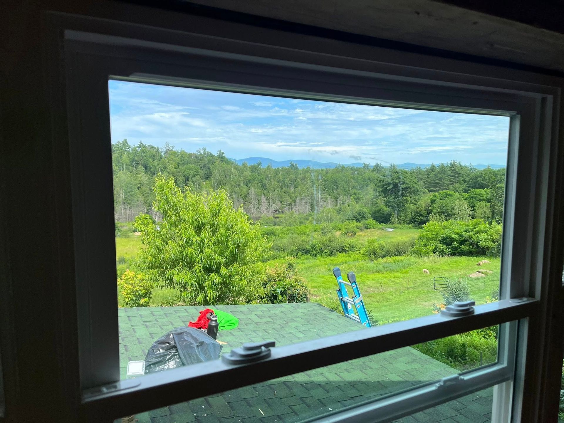 A view through a window showing a green roof, a lush forest, and distant mountains under a blue, partly cloudy sky.