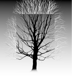 Designs Anomali inc. LOGO