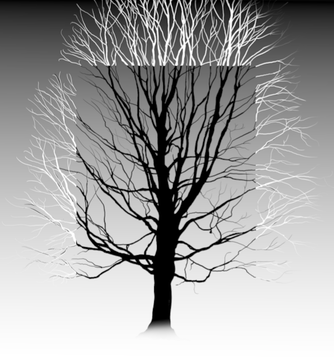 Designs Anomali inc. LOGO