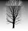 A black and white drawing of a tree without leaves