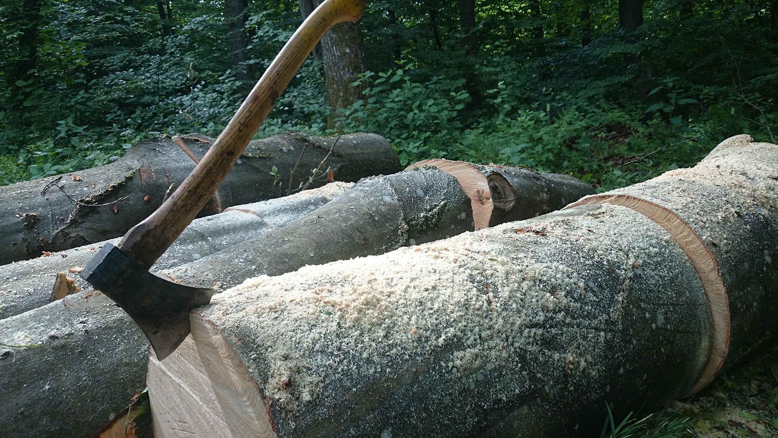 Eine Axt im Rundholz feststeckend.