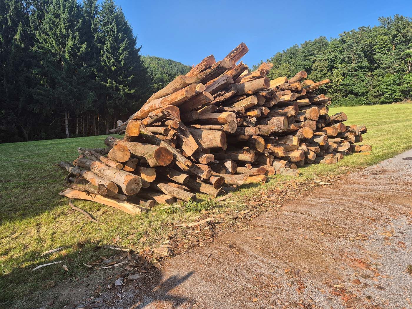 Stapel geschnittenen Brennholzes auf Gras neben einem Feldweg mit Bäumen im Hintergrund.