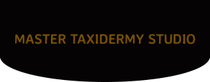 Master Taxidermy Studio Inc. Logo