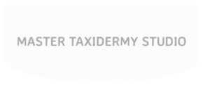 Master Taxidermy Studio Inc. Logo
