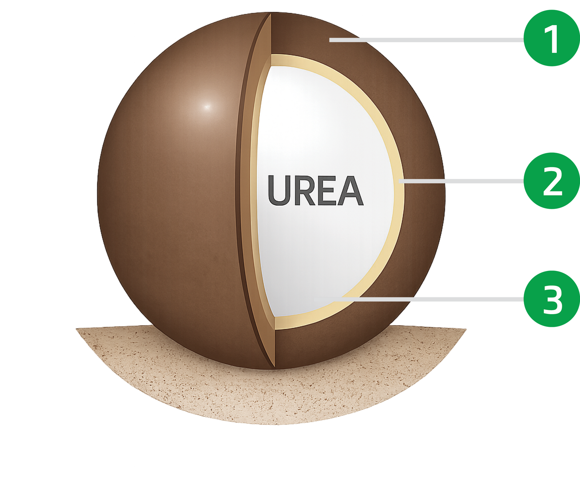 A diagram of a sphere with the word urea on it