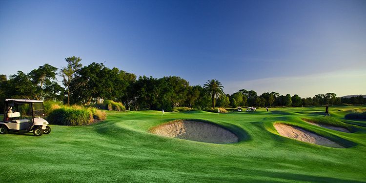 a golf cart is parked on the green of a golf course .