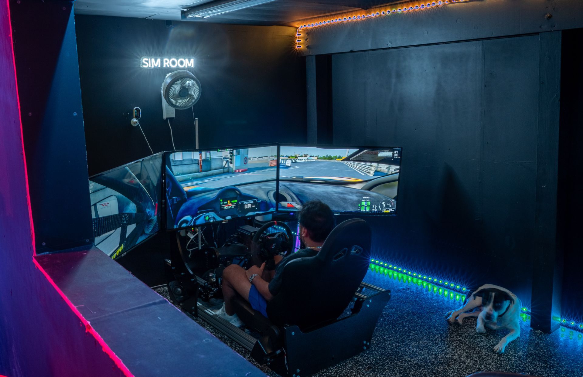 Person playing racing game on a simulator with multiple screens; dog rests nearby in dark room with colorful LED lights.
