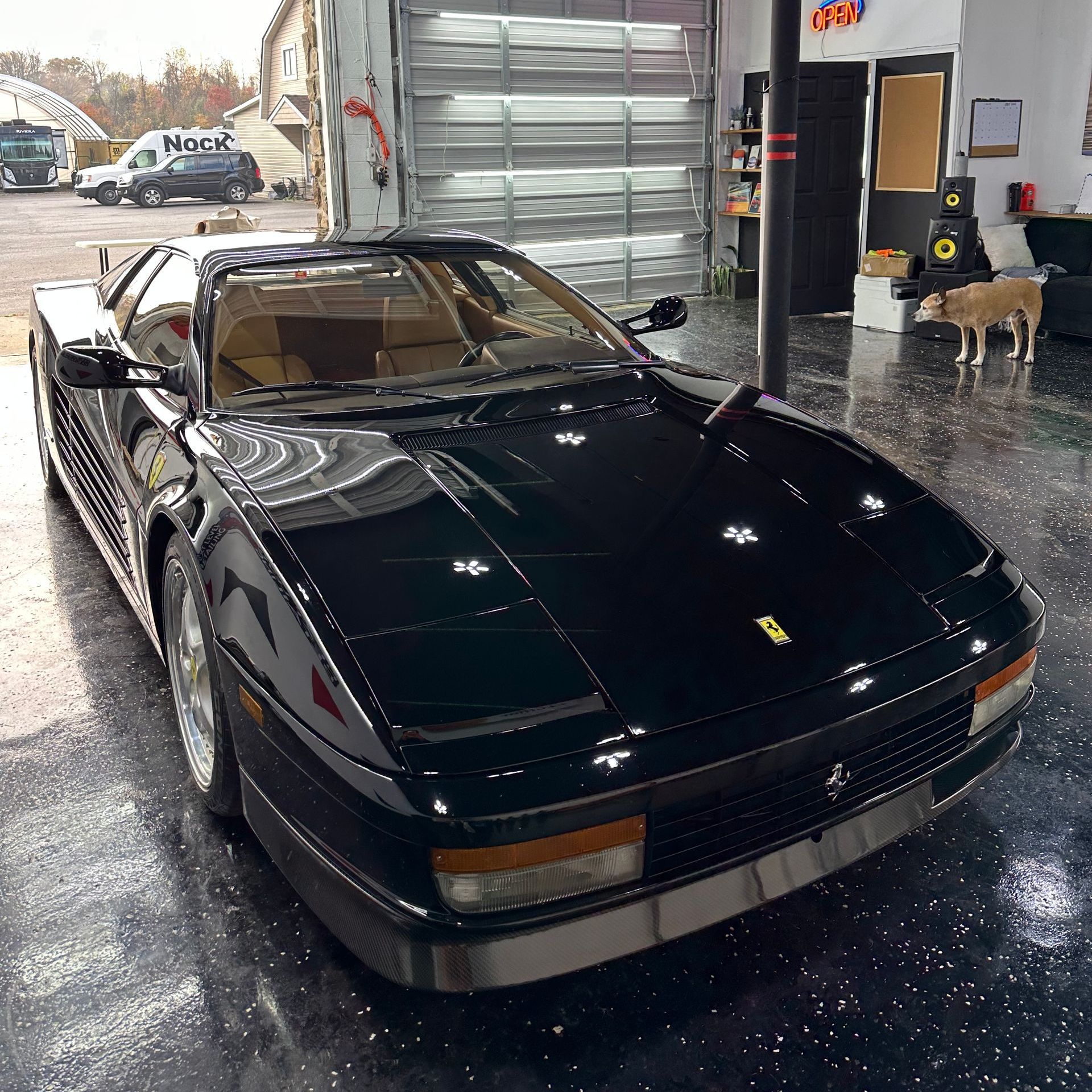 Paint Correction and Ceramic Testarossa