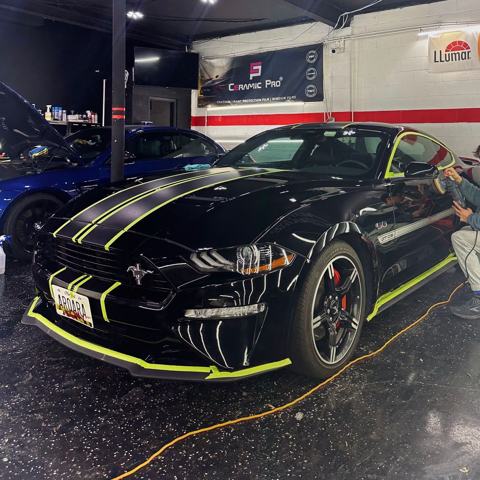 Paint Correction and Coating Mustang GT CS