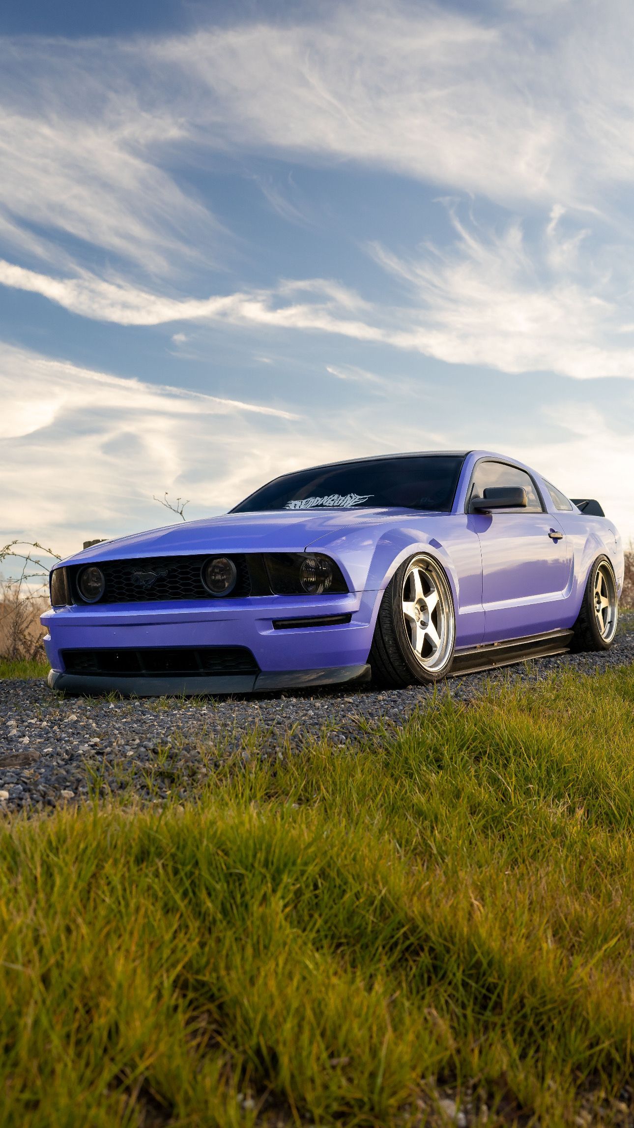 Wrap Mustang