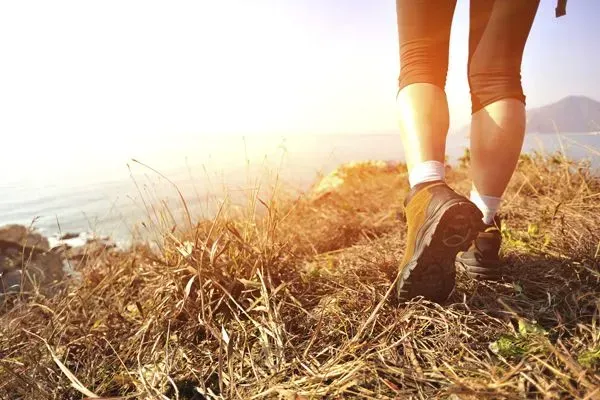 Person hiking on a sunlit grassy hillside near the water at sunrise